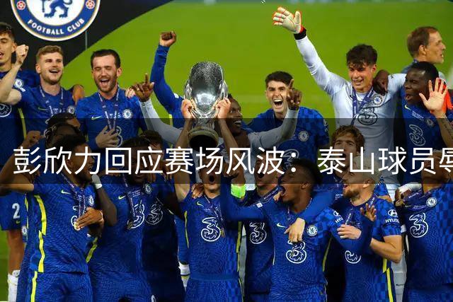 彭欣力回应赛场风波：泰山球员辱骂在先 否认掌掴竖中指指控